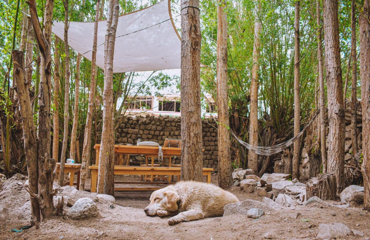 Raybo Hostel Leh Dış mekan fotoğraf